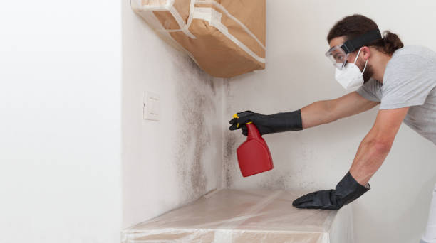 Professional Bathroom Mold Removal technician working in Julian, PA