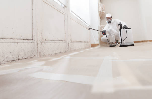 24/7 Emergency Bathroom Mold Removal experts in Julian, PA