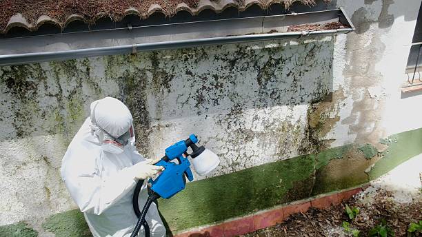Top rated local Bathroom Mold Removal specialists in Julian, PA